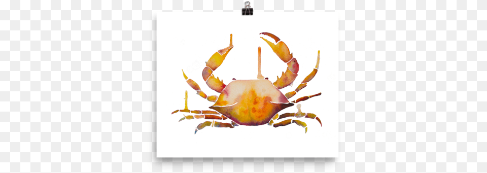 Seafood, Food, Animal, Crab, Invertebrate Free Png