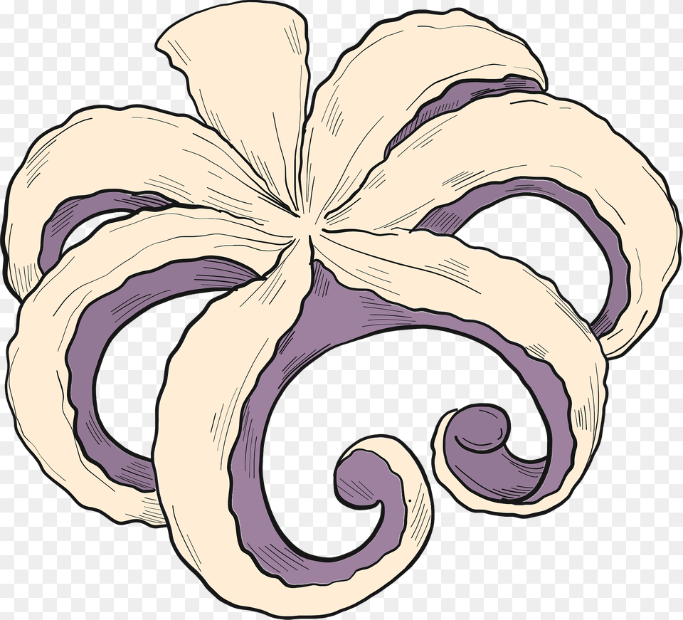 Seafood Clipart, Pattern, Baby, Person, Flower Png