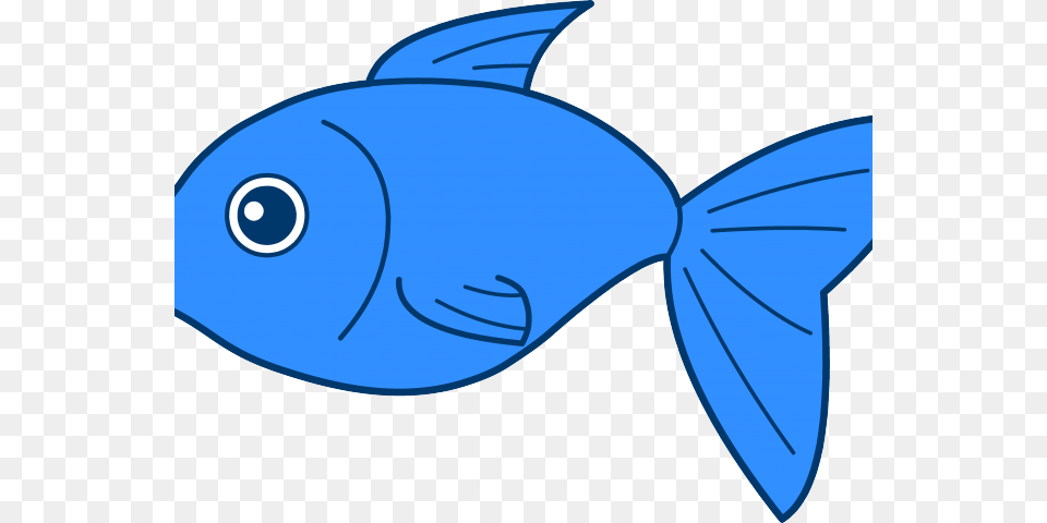 Seafood Clipart, Animal, Sea Life, Fish Free Transparent Png