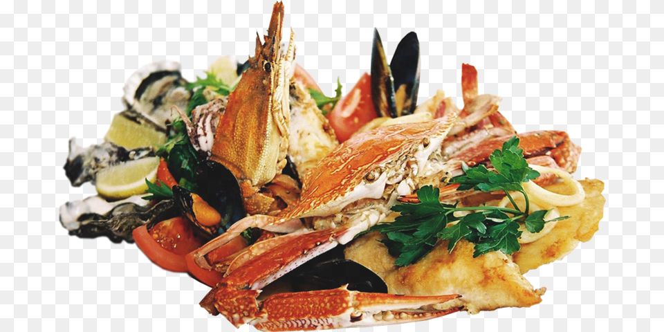 Seafood Dinner Robot Kitchen Hyderabad Jubilee Hills Menu, Food, Food Presentation, Animal, Invertebrate Free Png Download