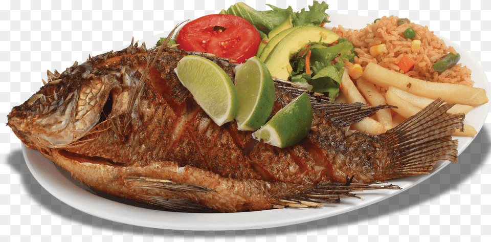 Seafood Fried Fish, Dish, Platter, Meal, Food Presentation Free Png