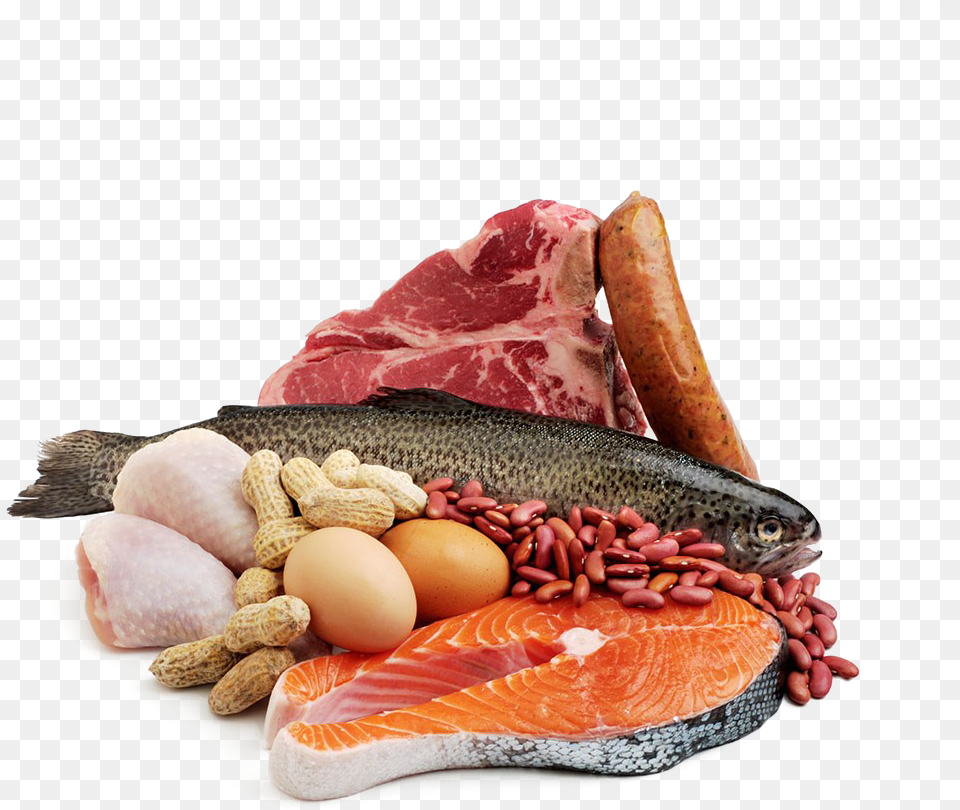 Seafood Meat Fish Protein Meat And Fish, Animal, Sea Life, Food, Meal Png Image