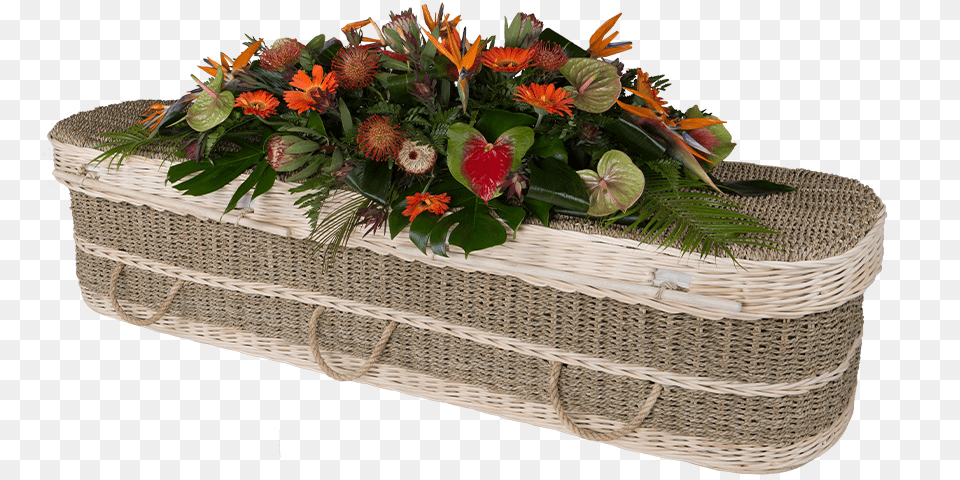 Seagrass Coffin, Flower, Flower Arrangement, Flower Bouquet, Plant Png