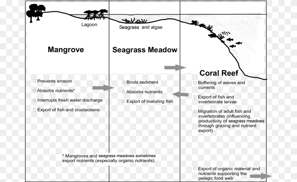 Seagrass Coral Reef Mangroves Chart, Diagram, Plot Free Png