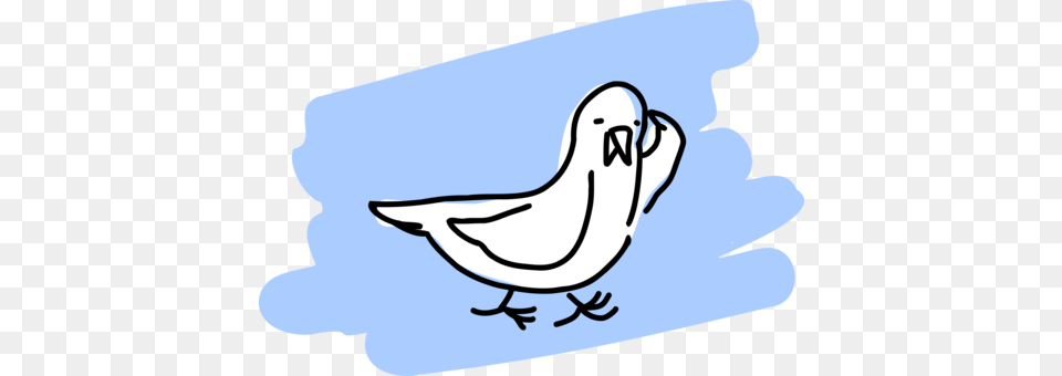 Seagull, Text Free Png