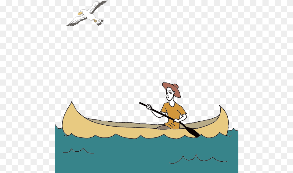 Seagull, Water Sports, Leisure Activities, Rowboat, Sport Free Png Download