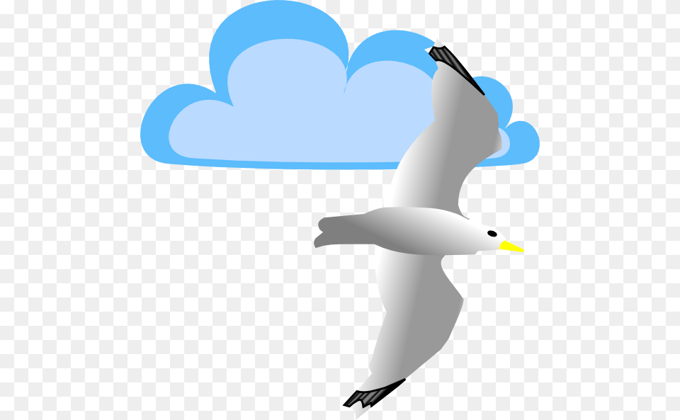 Seagull And Cloud Clip Art, Waterfowl, Animal, Bird, Flying Free Transparent Png