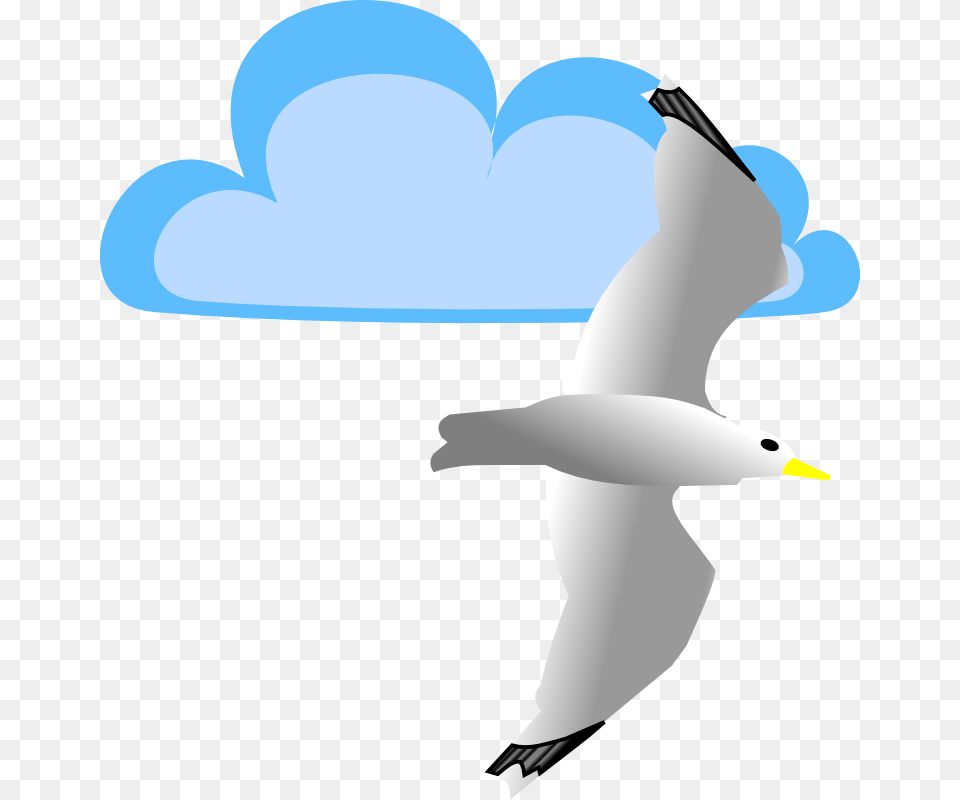 Seagull And Cloud Clip Art Clip Art, Waterfowl, Animal, Bird, Flying Free Png