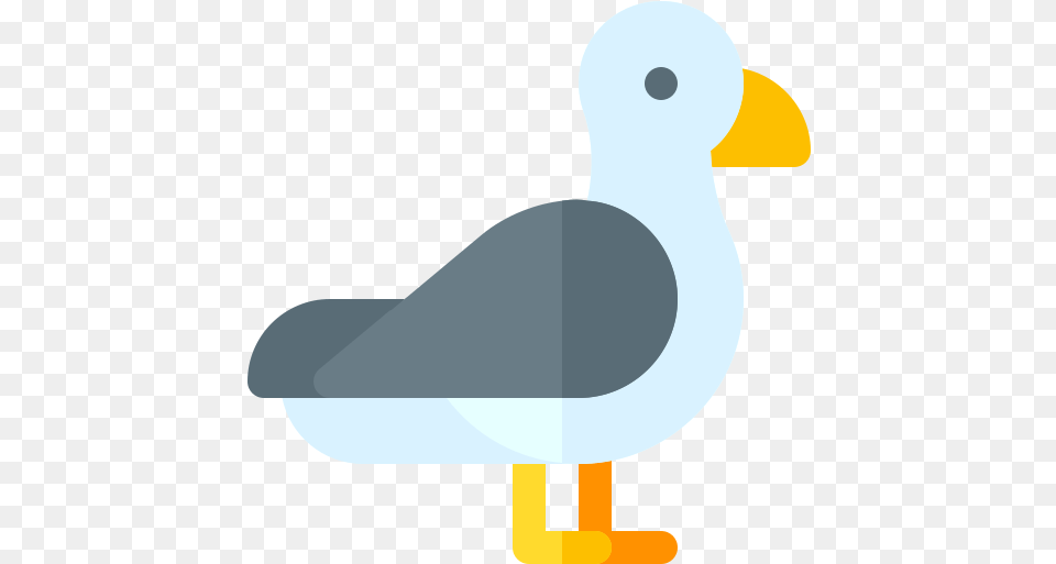 Seagull Animals Icons Duck, Animal, Bird, Waterfowl, Beak Free Png Download
