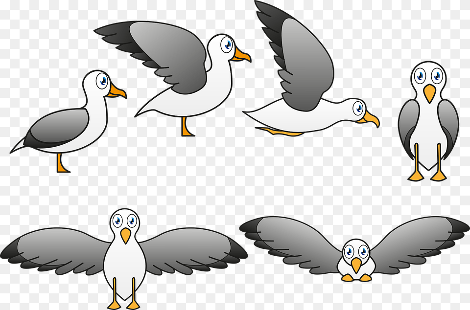 Seagull Ave Fly Caricature Child Pen Fauna Cartoon, Animal, Bird, Penguin, Beak Png