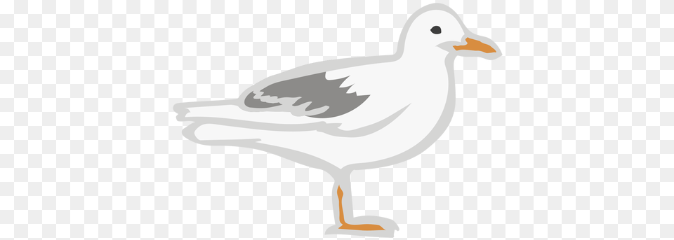 Seagull Bird Flat Animal U0026 Svg Vector File European Herring Gull, Waterfowl, Beak Free Png Download