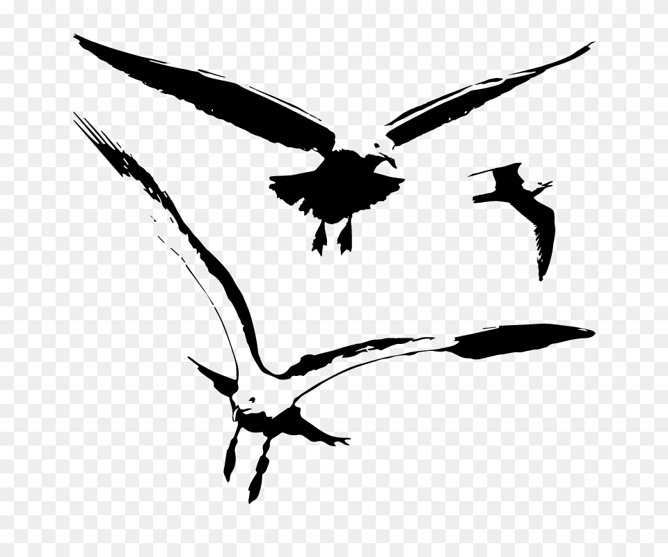 Seagull Birds Vector Silhouette Vector Silhouette Graphics, Nature, Night, Outdoors, Astronomy Free Png Download
