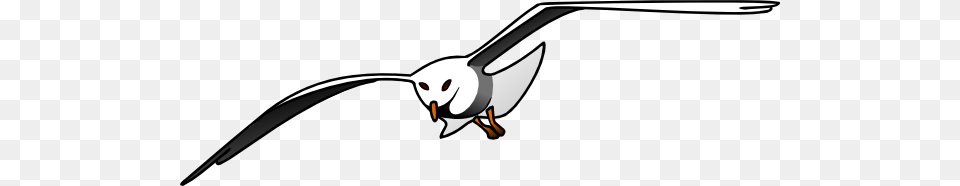 Seagull Clip Art Vector, Animal, Bird, Flying, Waterfowl Free Transparent Png