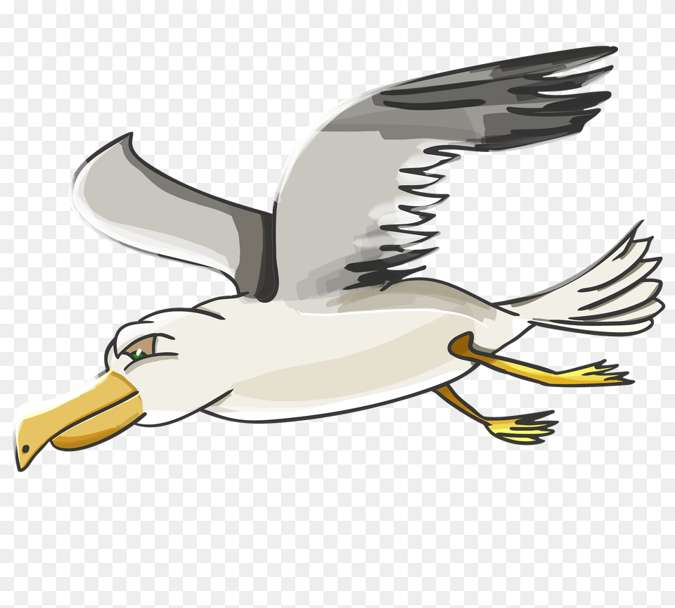Seagull Clipart, Animal, Beak, Bird, Flying Free Png Download
