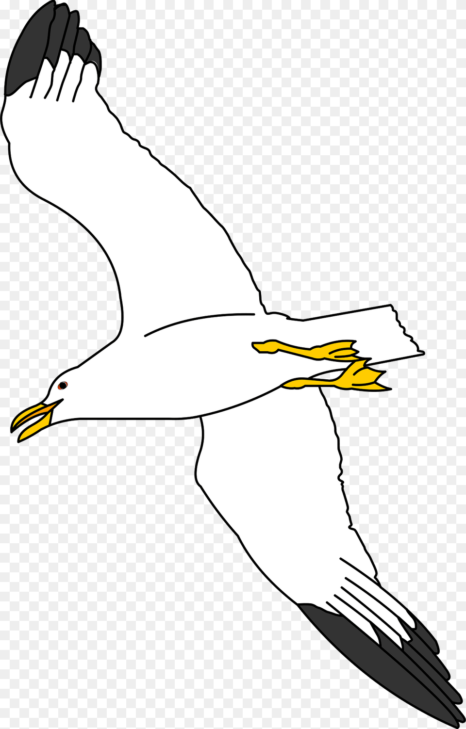 Seagull Clipart, Animal, Beak, Bird, Flying Png Image