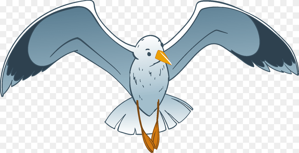 Seagull Clipart, Animal, Beak, Bird, Flying Free Transparent Png