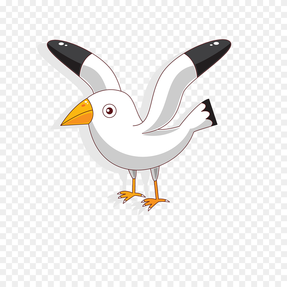 Seagull Clipart Australian Bird Cartoon Seagull, Animal, Waterfowl, Finch, Beak Free Png Download