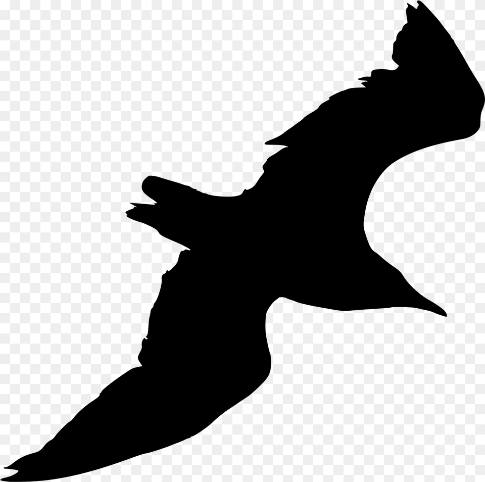 Seagull Clipart Black And White Silhouette Seagull, Gray Png