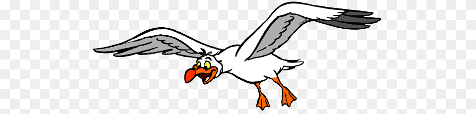 Seagull Clipart Little Mermaid, Animal, Beak, Bird, Flying Png