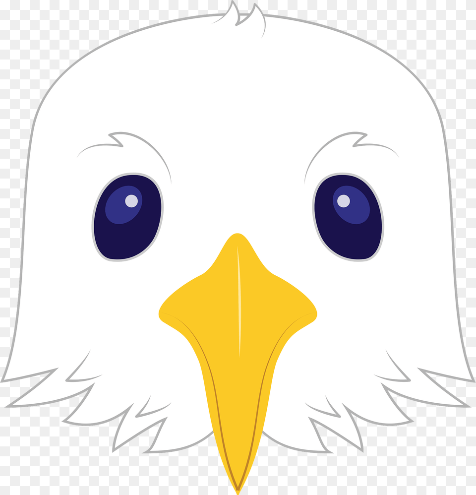 Seagull Face Clipart, Animal, Beak, Bird, Eagle Free Png Download