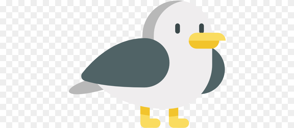 Seagull Free Animals Icons Cartoon, Animal, Bird, Waterfowl, Beak Png