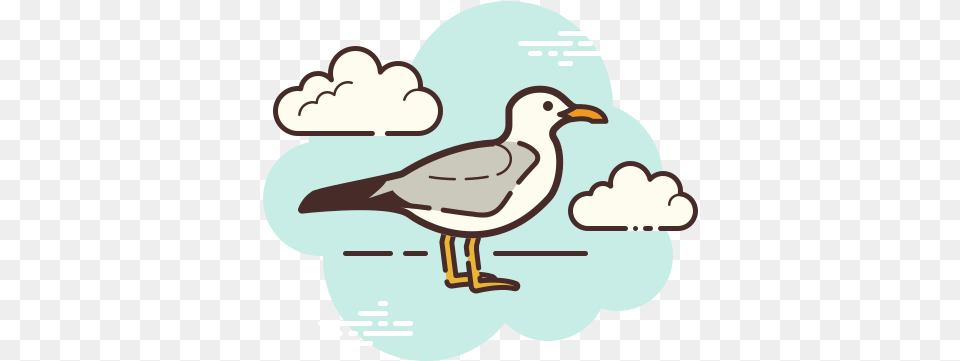 Seagull Icon Cute Roblox Logo, Animal, Bird, Waterfowl, Beak Free Transparent Png