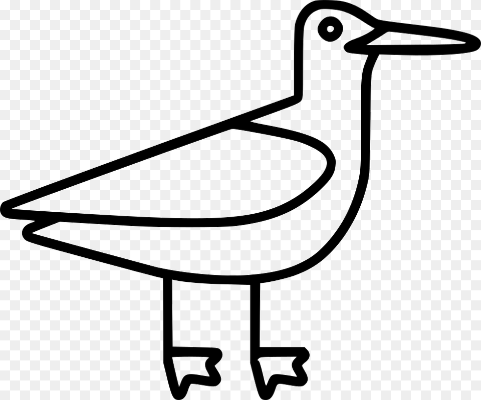 Seagull Icon Download, Stencil, Animal, Beak, Bird Free Png