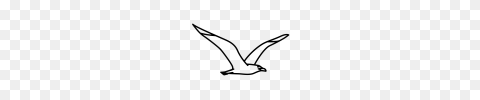 Seagull Icons Noun Project, Gray Free Transparent Png