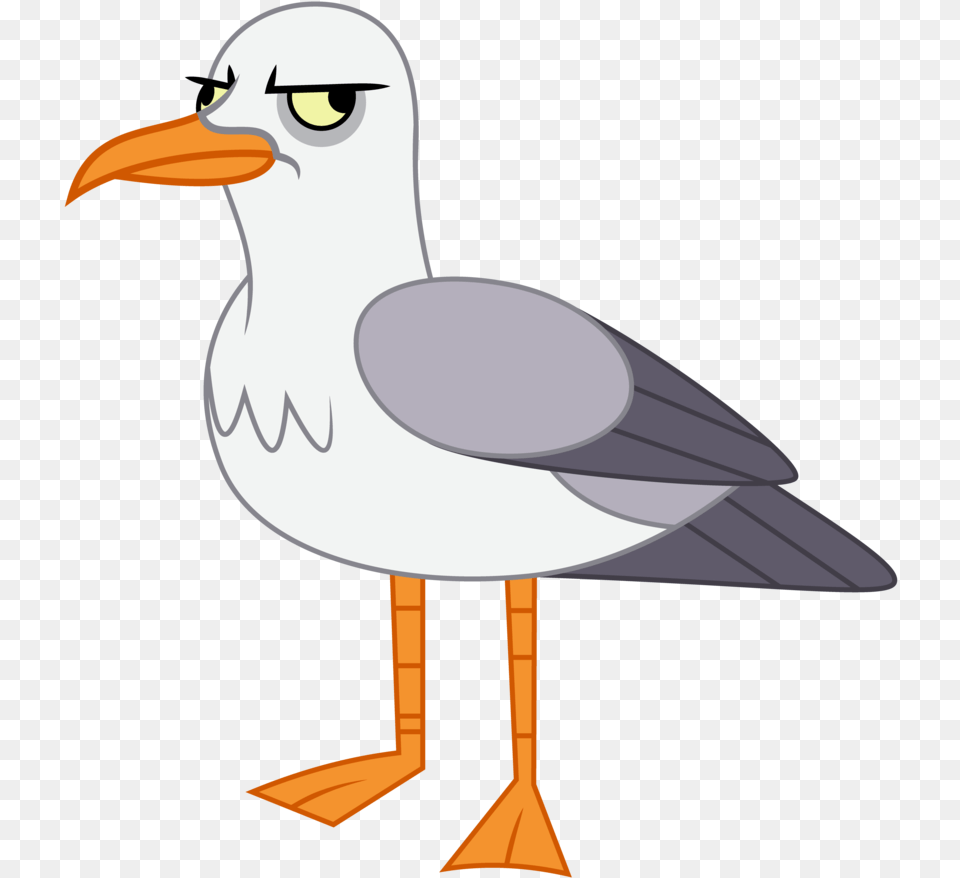 Seagull Illustration Seagull Clipart, Animal, Beak, Bird, Waterfowl Free Png Download