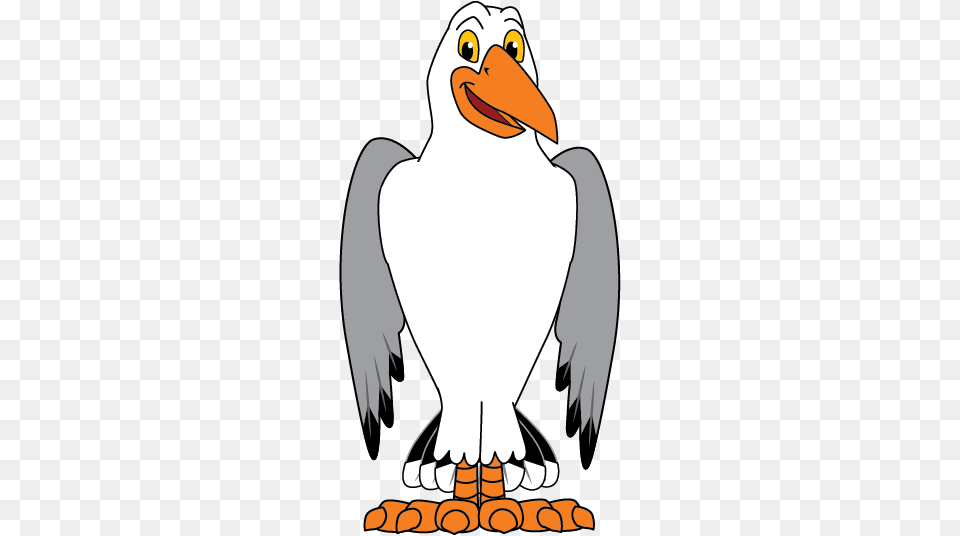 Seagull Mascot, Animal, Beak, Bird, Ammunition Png