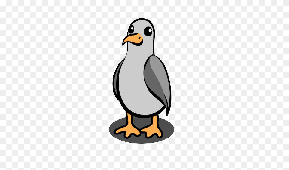 Seagull Milk Home, Animal, Bird, Penguin, Beak Png