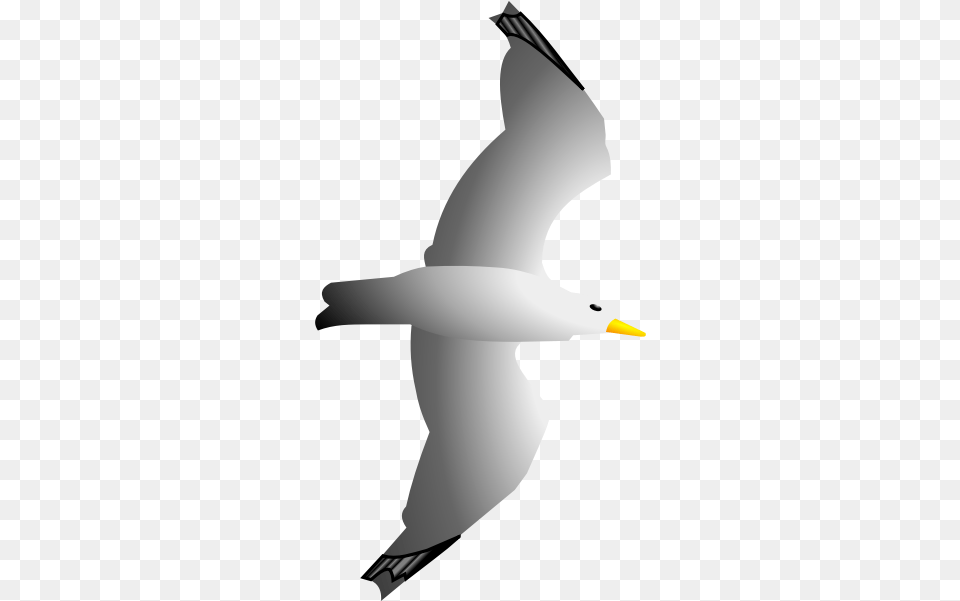Seagull Remix By Merlin2525 Clip Art, Flying, Animal, Beak, Bird Png Image