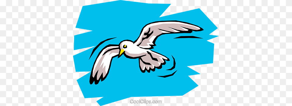 Seagull Royalty Vector Clip Art Illustration, Animal, Bird, Flying, Waterfowl Free Transparent Png