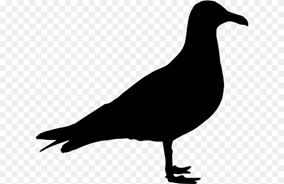 Seagull Silhouette Clipart Silhouette Pigeon Clipart, Gray Free Png