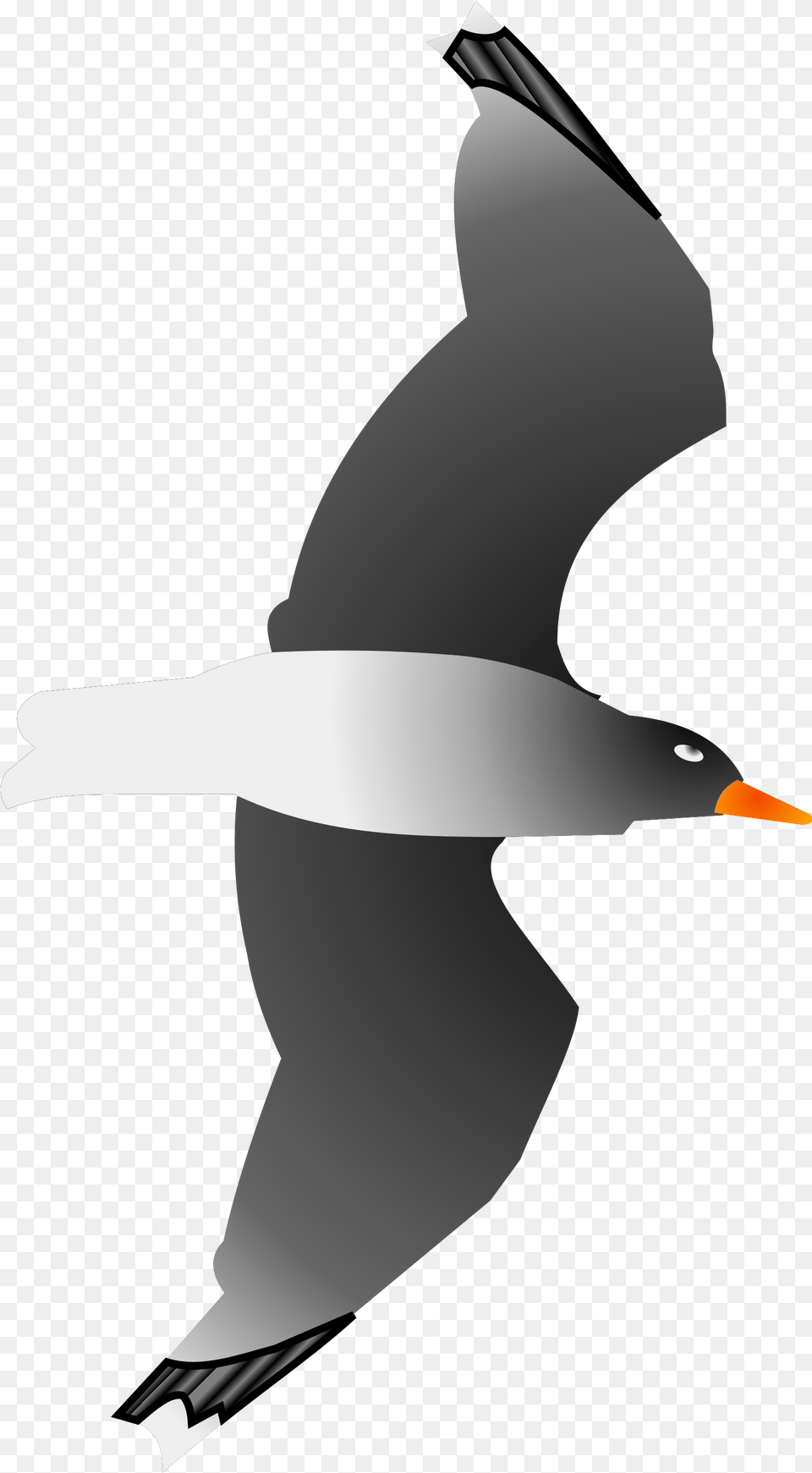 Seagull Svg Clip Art For Web Seabird, Flying, Animal, Beak, Bird Free Transparent Png
