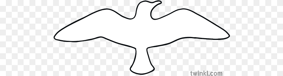 Seagull Template Craft Seaside Bird Ks1 Illustration Twinkl Seabird, Silhouette, Logo Free Transparent Png