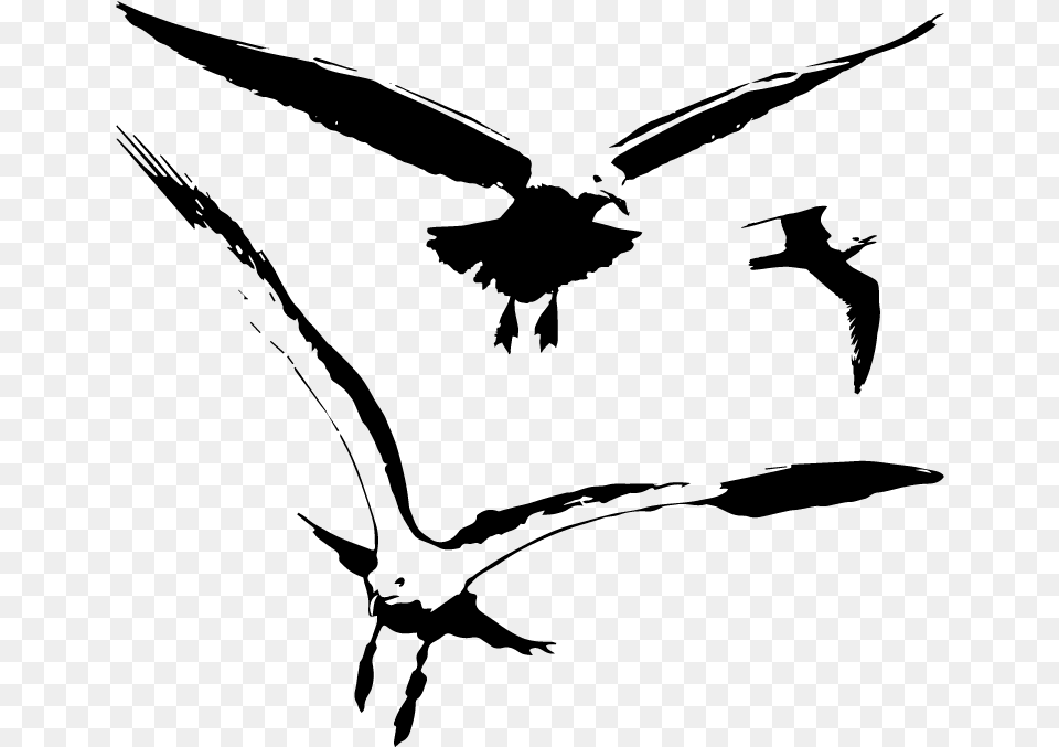 Seagull Vector, Nature, Night, Outdoors, Astronomy Free Transparent Png