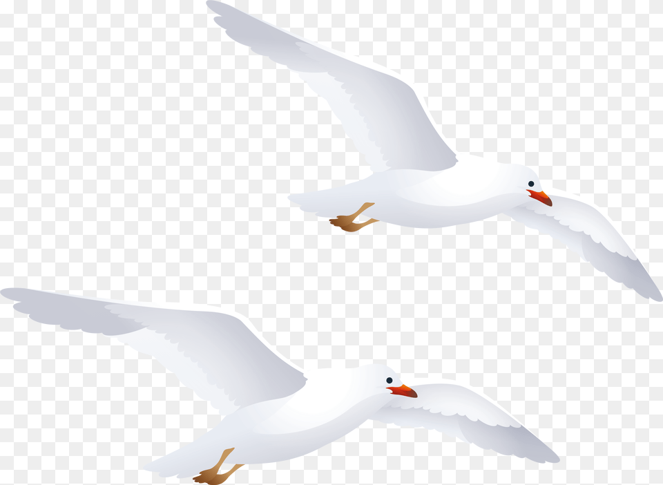 Seagulls Clipart Seagulls Clipart, Animal, Bird, Flying, Seagull Png Image