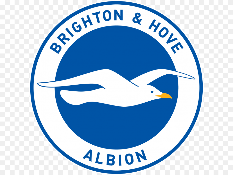 Seagulls Unfairly Tarnished By Minimum Wage Offenders Brighton And Hove Albion Logo, Animal, Bird, Seagull, Waterfowl Png Image
