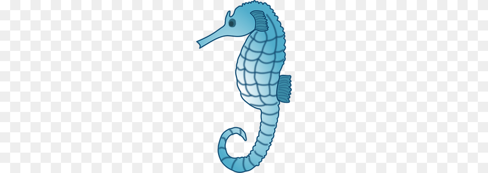 Seahorse Animal, Sea Life, Mammal, Smoke Pipe Png