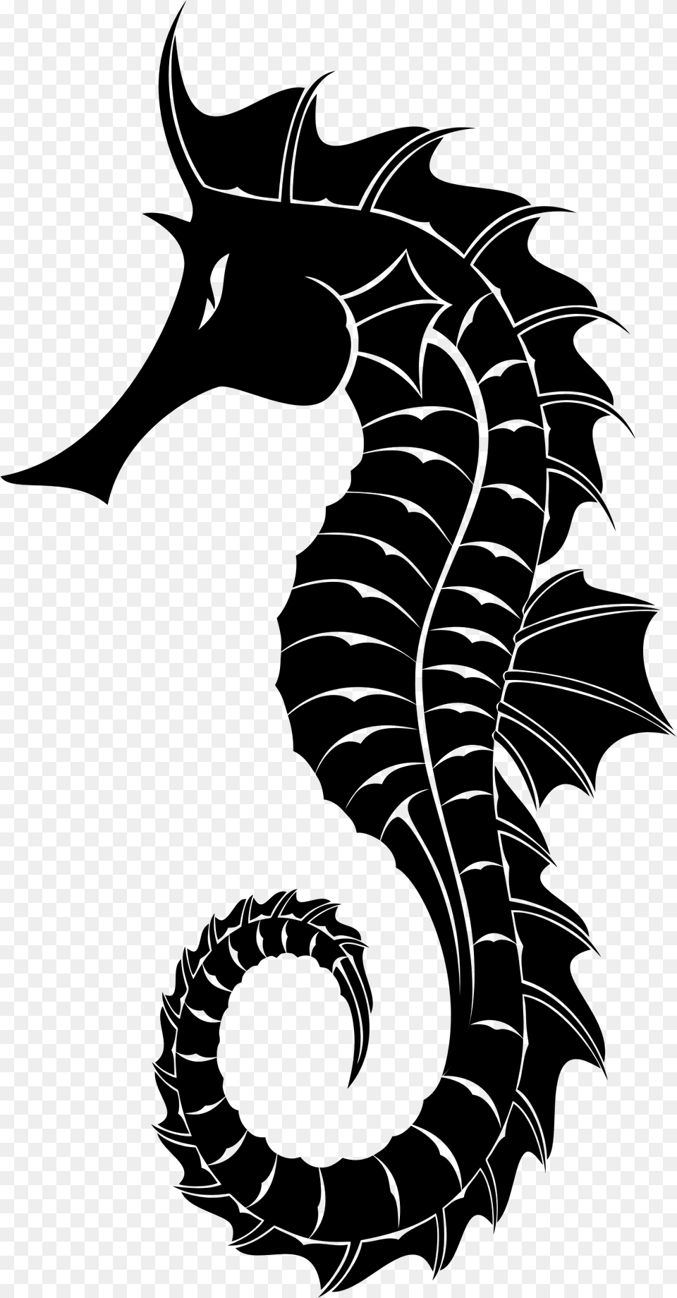 Seahorse, Gray Free Png