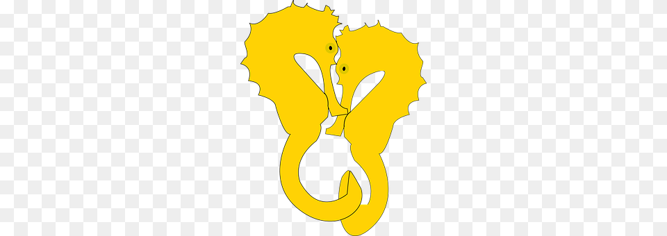 Seahorse Symbol, Person Png