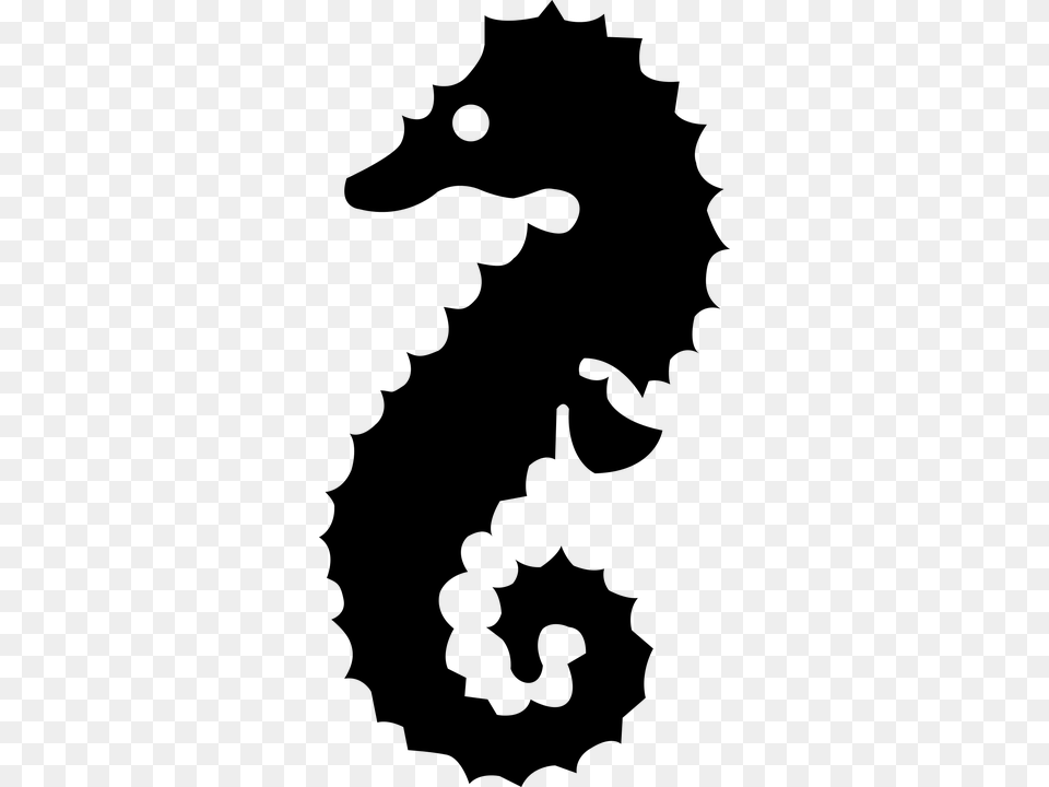 Seahorse, Gray Free Transparent Png