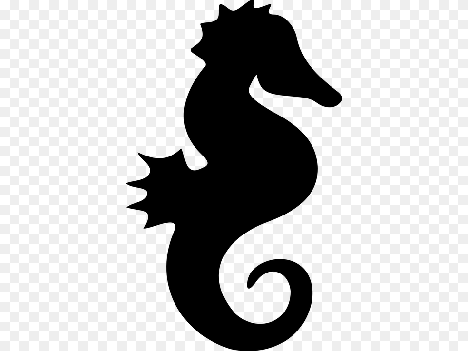 Seahorse, Gray Free Png