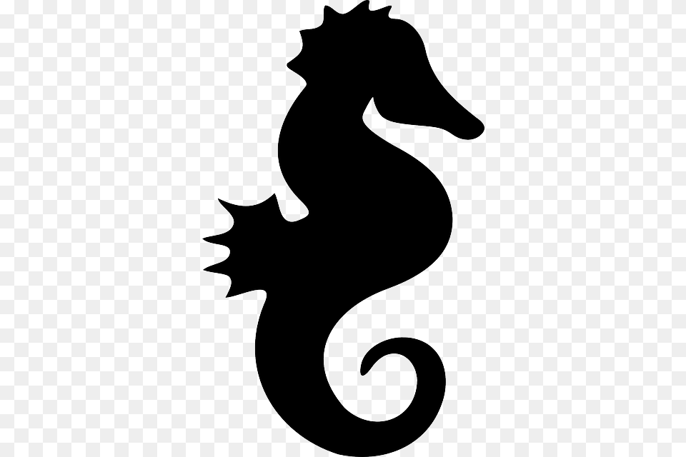 Seahorse, Silhouette, Animal, Sea Life, Mammal Free Png Download