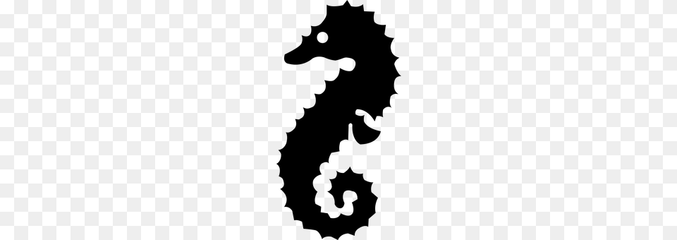 Seahorse Gray Free Transparent Png