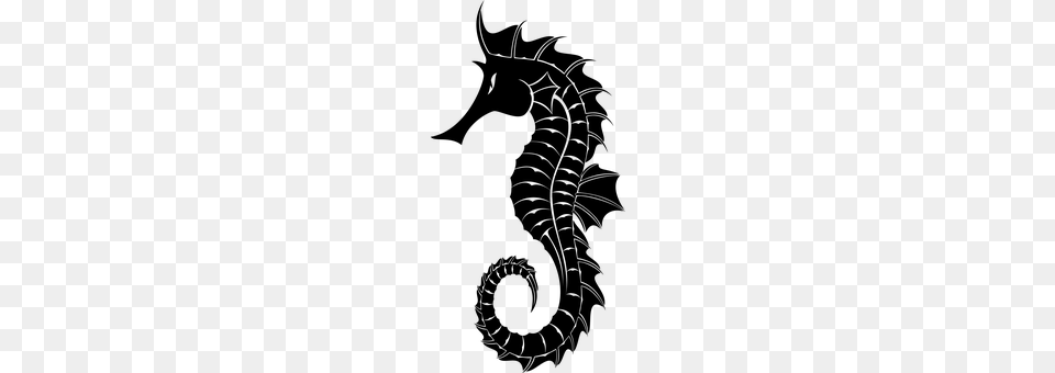 Seahorse Gray Png Image