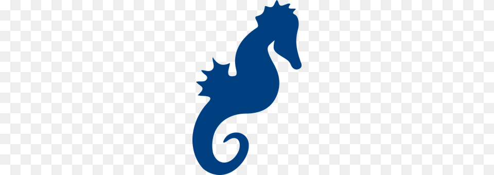 Seahorse Animal, Mammal, Sea Life, Baby Png