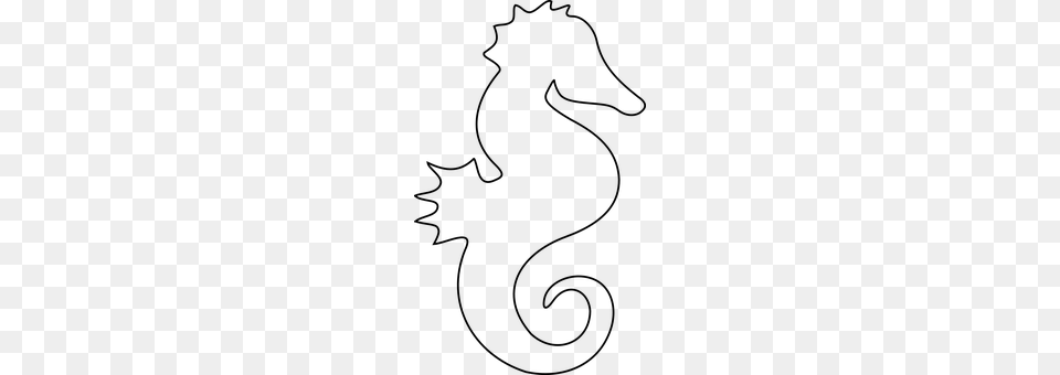 Seahorse Gray Png