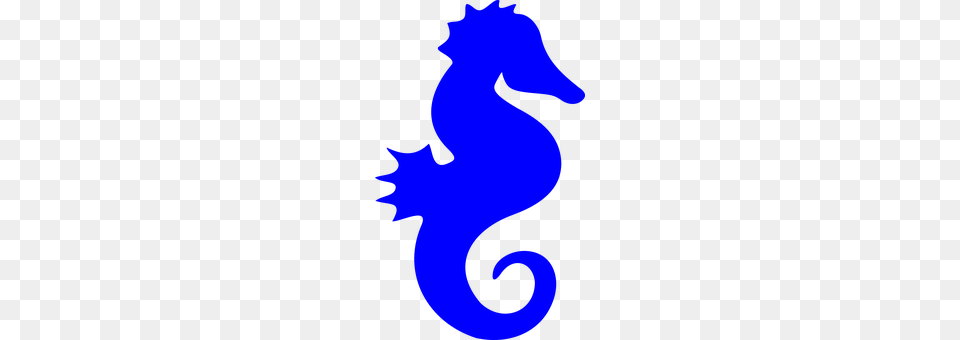 Seahorse Animal, Sea Life, Mammal, Baby Png Image